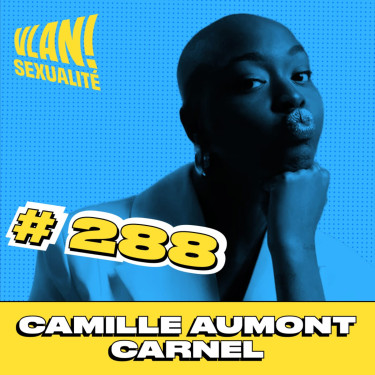 #288 Mettre des mots pour parler de sexe plus facilement avec Camille Aumont Carnel