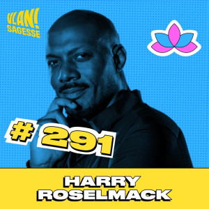 #291 Redonner du sens à notre existence avec Harry Roselmack #291 Redonner du sens à notre existence avec Harry Roselmack