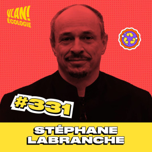 #331 Un coordinateur du GIEC du comportement et champion de MMA "voilà pourquoi l'écologie ennuie tout le monde" avec Stéphane Labranche