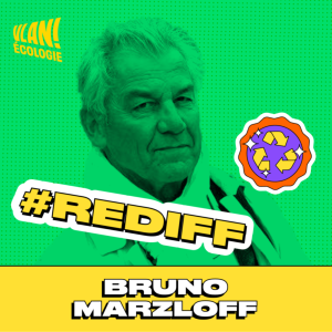[REDIFF] La ville est devenue une nécessicité insupportable avec Bruno Marzloff