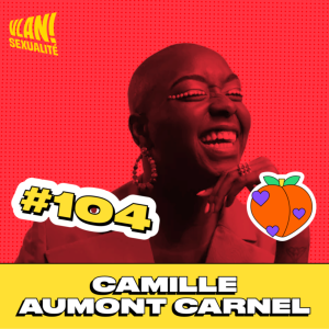 #104 La diversité est morte. Vive l'inclusion avec Camille Aumont Carnel